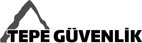 vestel-logo